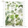 monstera, liście monstery, palma, kwiaty, rośliny tropikalne, monstera, monstera leaves, palm tree, flowers, tropical plants, Monstera, Monstera Blätter, Palme, Blumen, tropische Pflanzen, monstera, hojas de monstera, palmera, flores